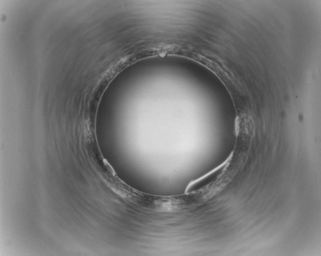 X0000075830564200609291425