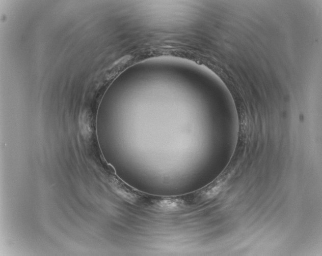 X0000075830566200609291425