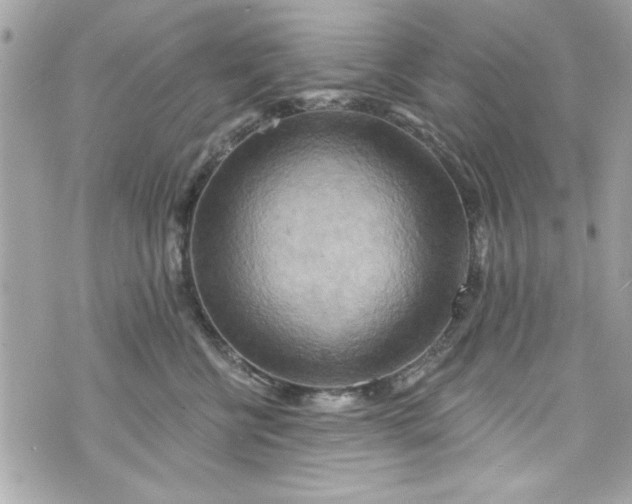 X0000075830570200609291425