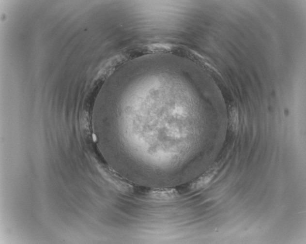 X0000075830571200609291425