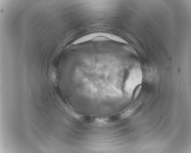 X0000075830573200609291425