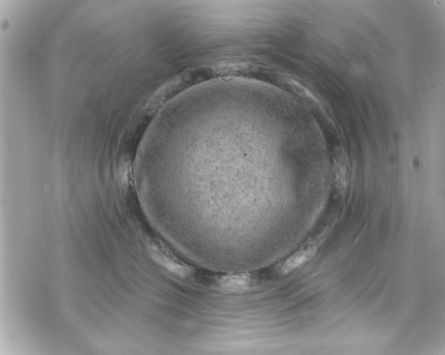 X0000075830574200609291425