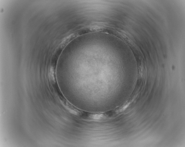 X0000075830575200609291425