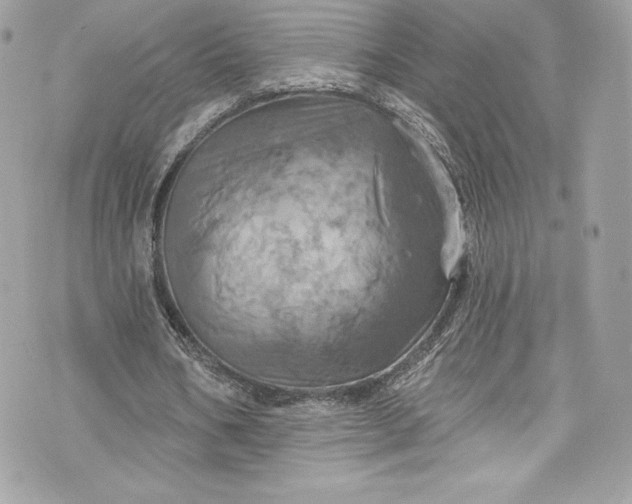 X0000075830578200609291424