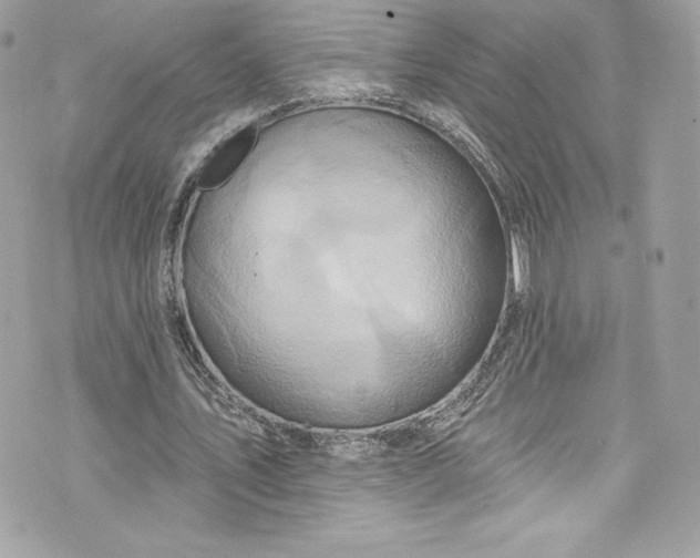 X0000075830579200609291424