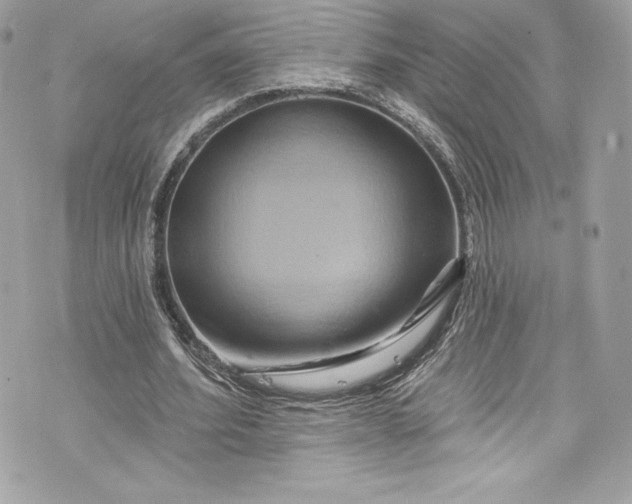 X0000075830580200609291424