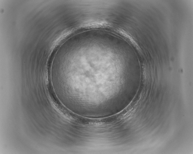 X0000075830582200609291424