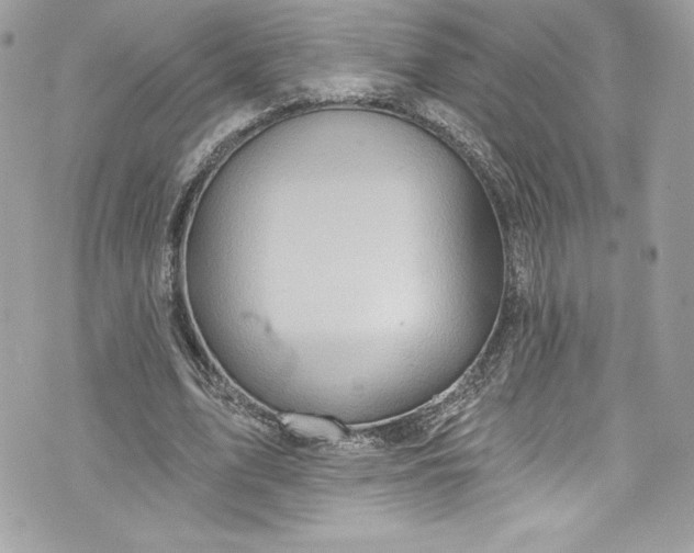 X0000075830583200609291424