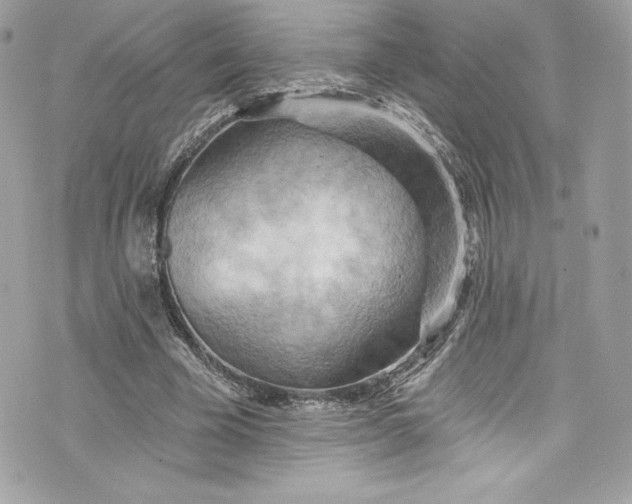 X0000075830585200609291424