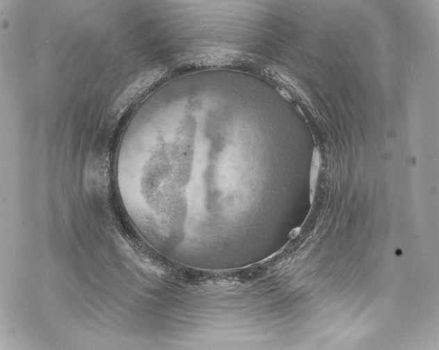 X0000075830586200609291424