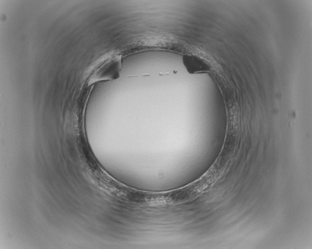 X0000075830587200609291424