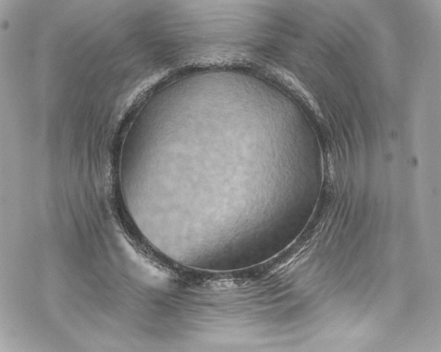 X0000075830588200609291424