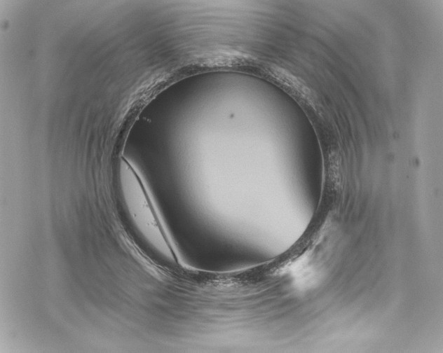 X0000075830589200609291424