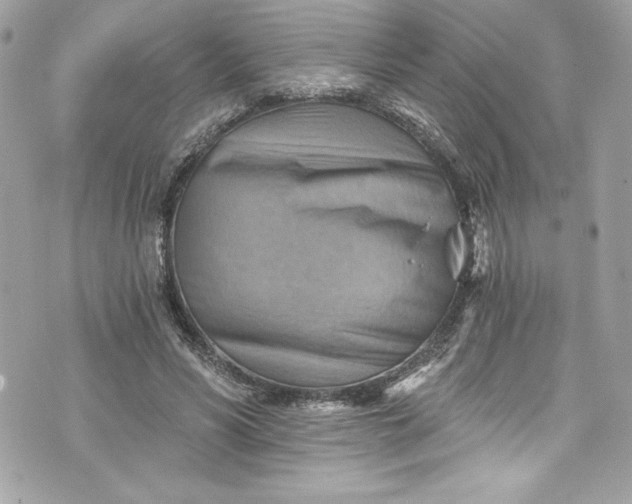 X0000075830590200609291424