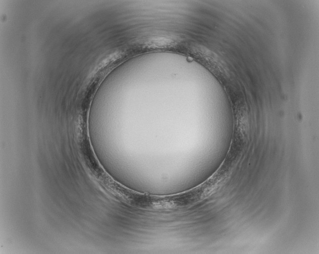 X0000075830591200609291424