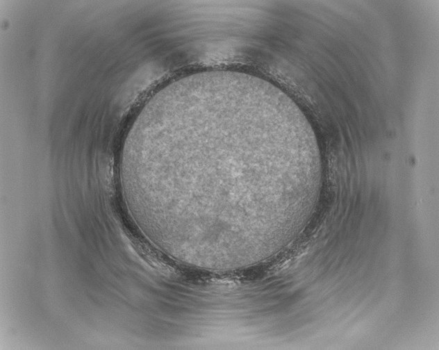 X0000075830592200609291424