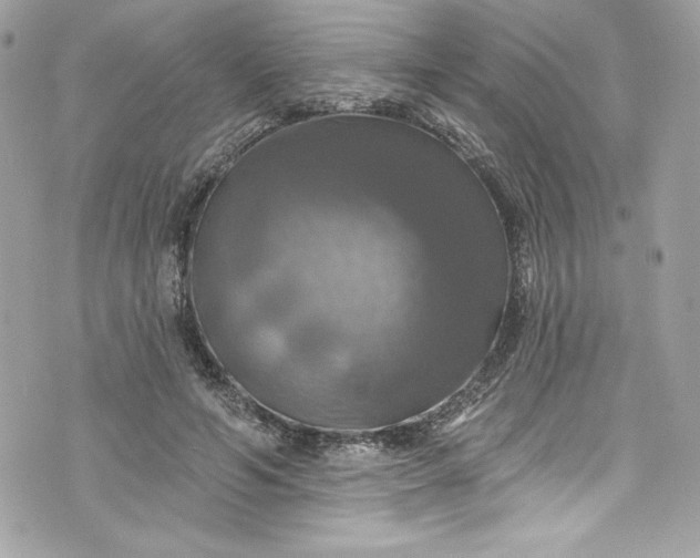 X0000075830594200609291424