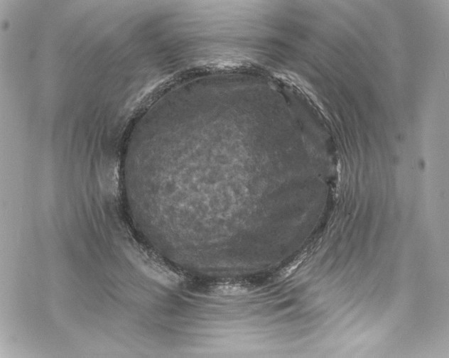 X0000075830596200609291424