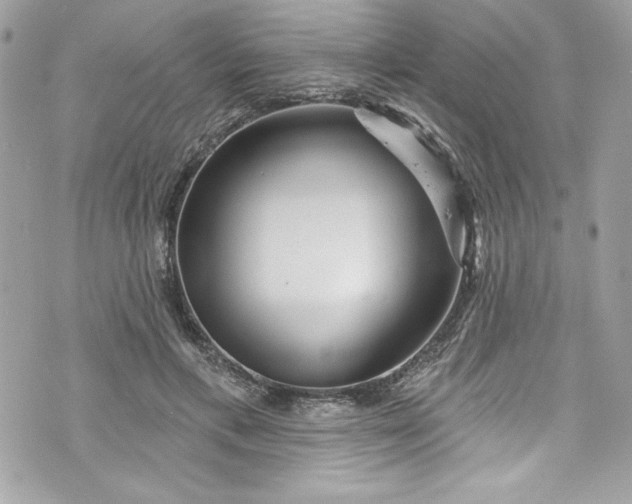 X0000075830597200609291424