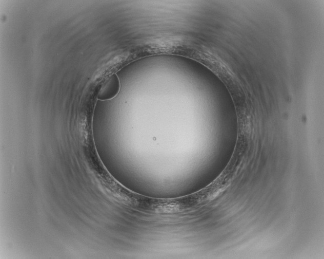 X0000075830599200609291424