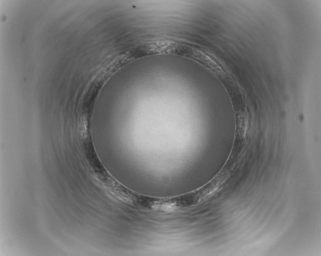 X0000075830602200609291424