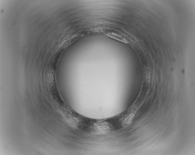 X0000075830603200609291424