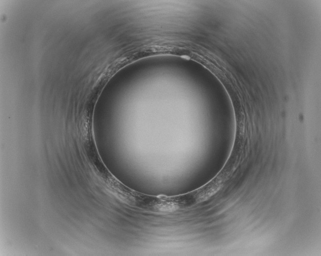 X0000075830604200609291424