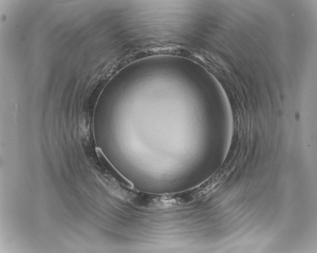 X0000075830607200609291424