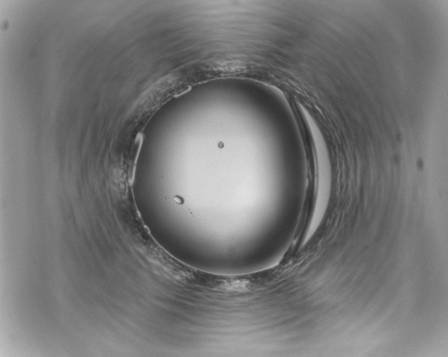 X0000075830609200609291424