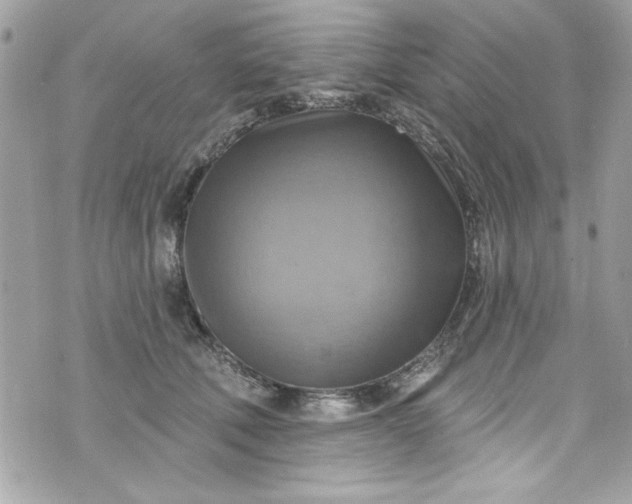 X0000075830610200609291424