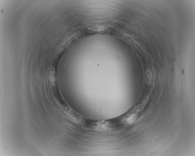 X0000075830612200609291424