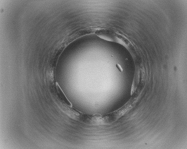 X0000075830613200609291424