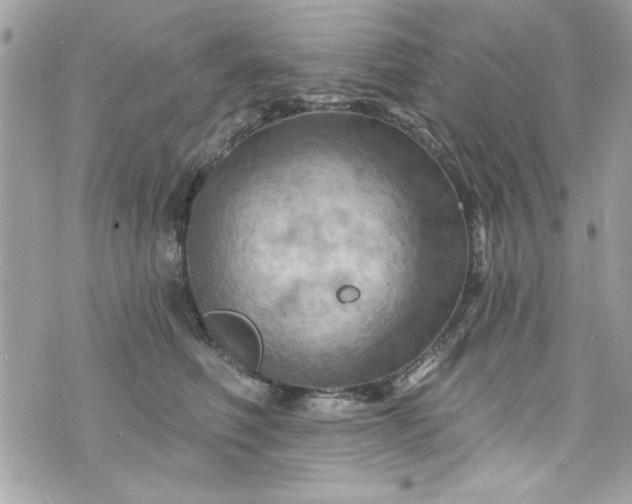 X0000075830614200609291423