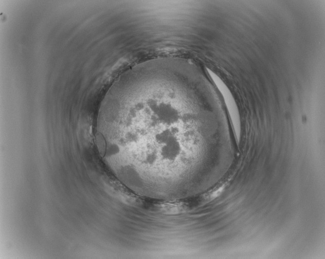 X0000075830615200609291423