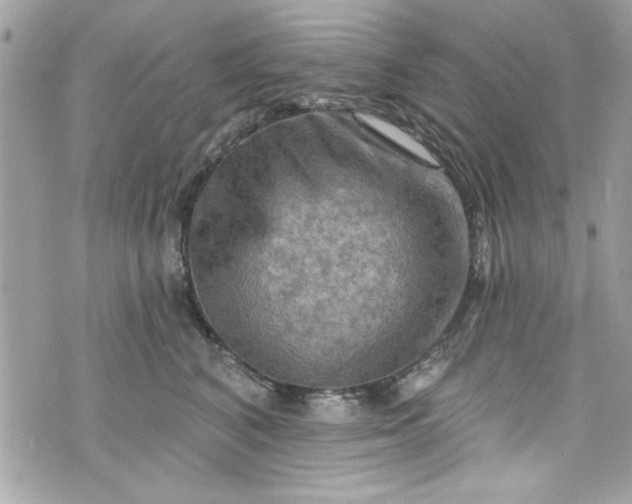 X0000075830616200609291423