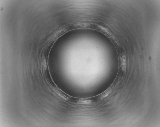 X0000075830617200609291423