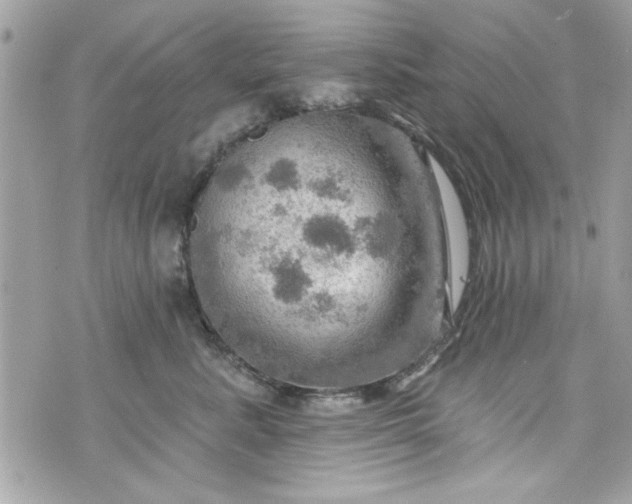 X0000075830619200609291423