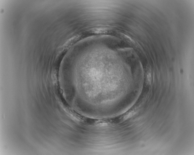 X0000075830620200609291423