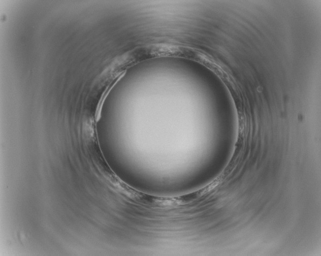 X0000075830621200609291423