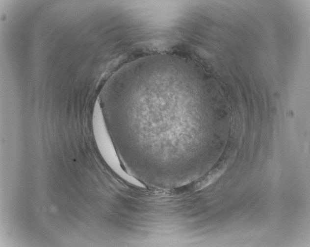 X0000075830624200609291423