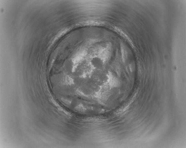 X0000075830625200609291423