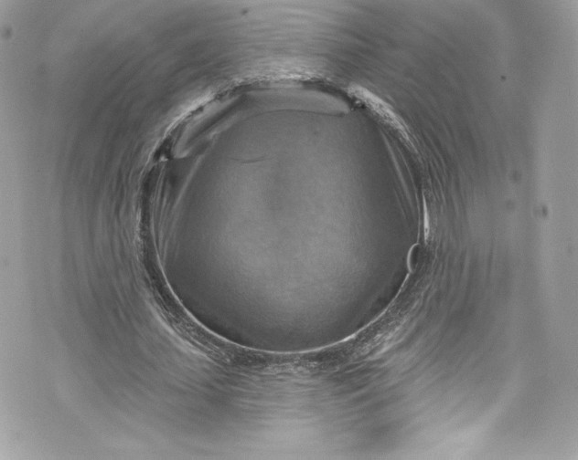 X0000075830627200609291423