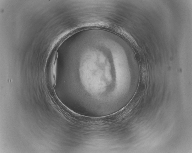 X0000075830628200609291423