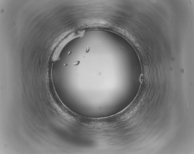 X0000075830629200609291423