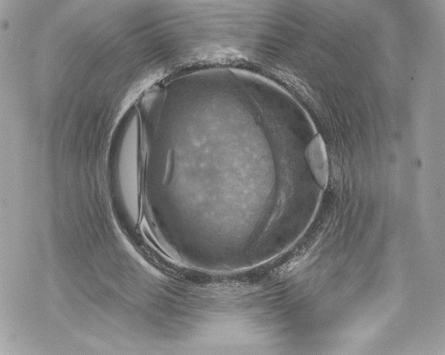 X0000075830630200609291423