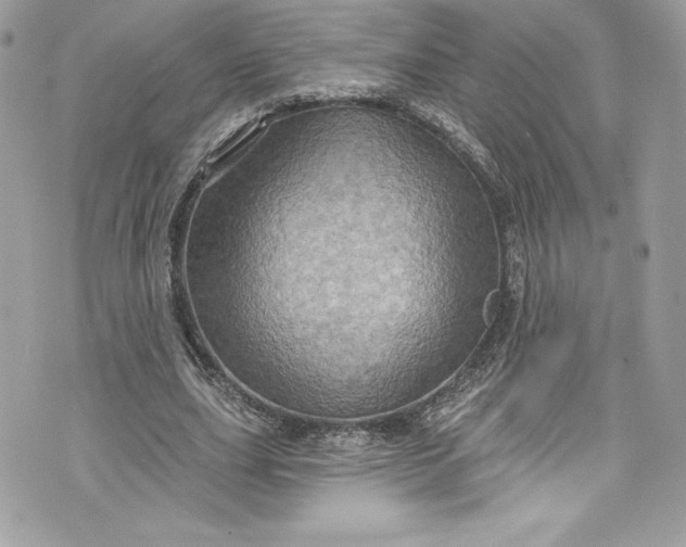 X0000075830631200609291423