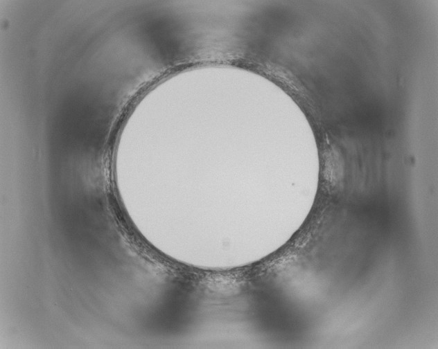 X0000075830632200609291423