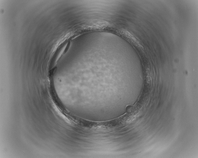 X0000075830634200609291423