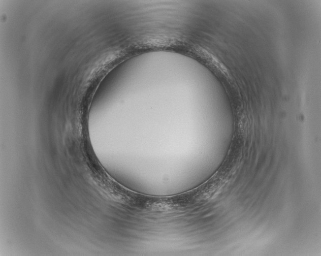 X0000075830635200609291423