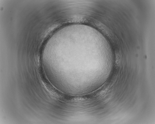 X0000075830636200609291423